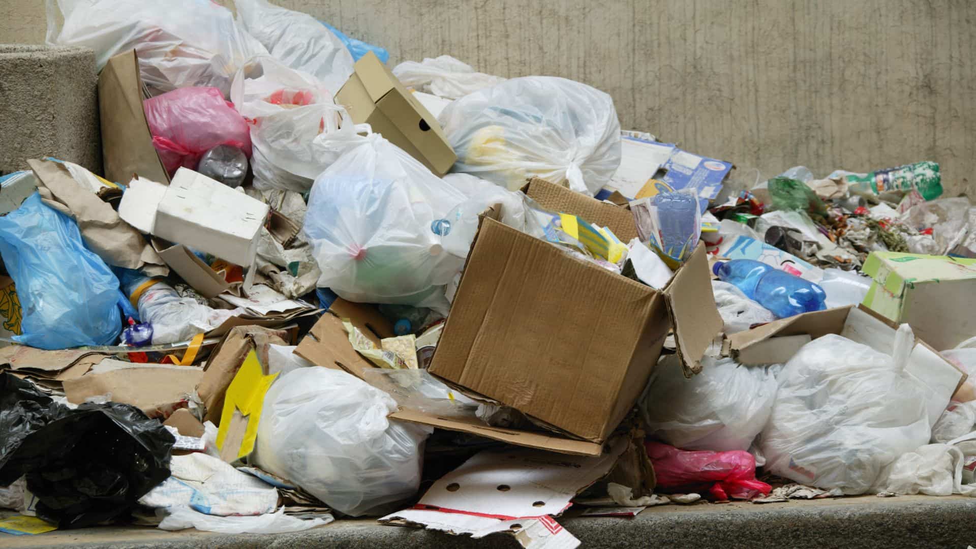 13 Reasons for Getting a Waste Audit This Christmas