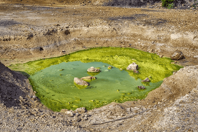 Contaminated Soil Disposal